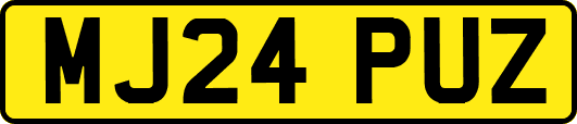 MJ24PUZ