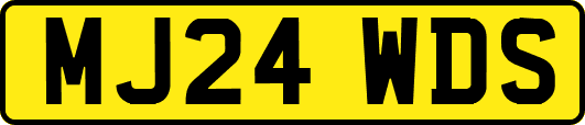 MJ24WDS