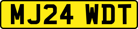 MJ24WDT