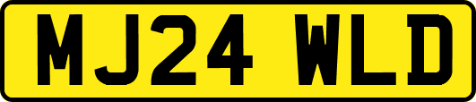 MJ24WLD