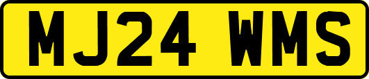 MJ24WMS