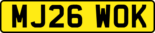 MJ26WOK