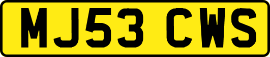 MJ53CWS