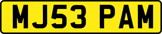 MJ53PAM