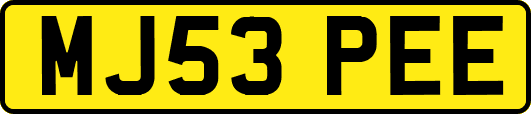 MJ53PEE