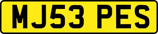 MJ53PES