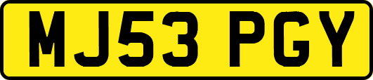 MJ53PGY
