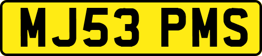 MJ53PMS