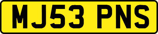 MJ53PNS