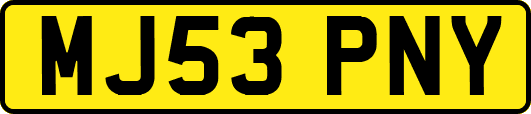 MJ53PNY