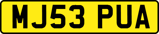 MJ53PUA