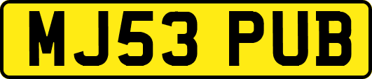 MJ53PUB