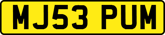 MJ53PUM