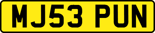 MJ53PUN