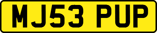 MJ53PUP