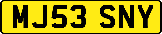 MJ53SNY