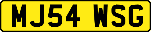 MJ54WSG