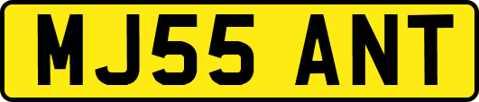MJ55ANT