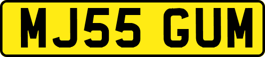 MJ55GUM