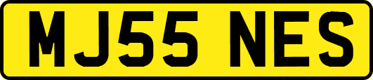 MJ55NES