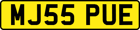 MJ55PUE