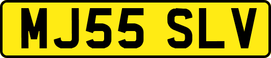MJ55SLV