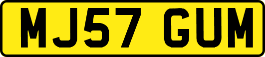 MJ57GUM