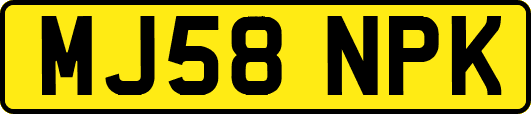 MJ58NPK