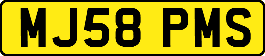 MJ58PMS