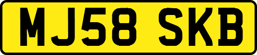 MJ58SKB