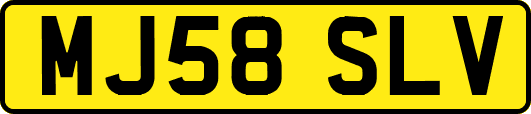 MJ58SLV