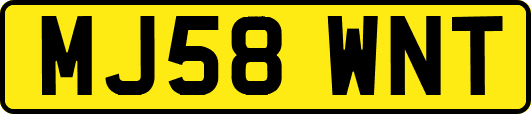 MJ58WNT