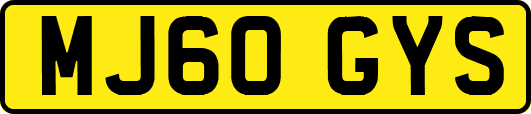 MJ60GYS
