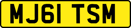 MJ61TSM