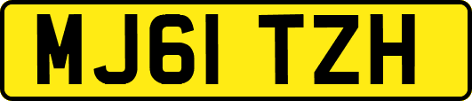 MJ61TZH