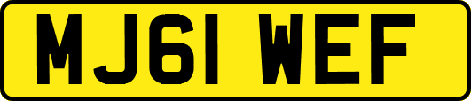 MJ61WEF