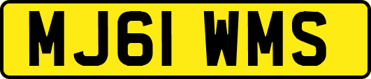 MJ61WMS