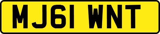 MJ61WNT