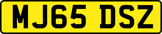 MJ65DSZ