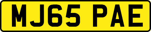 MJ65PAE