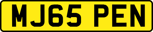 MJ65PEN
