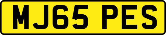MJ65PES