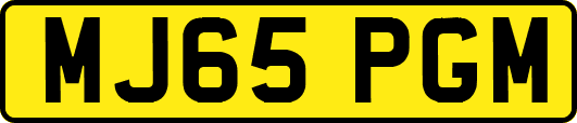 MJ65PGM
