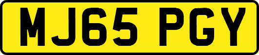 MJ65PGY