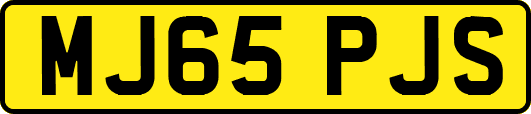 MJ65PJS