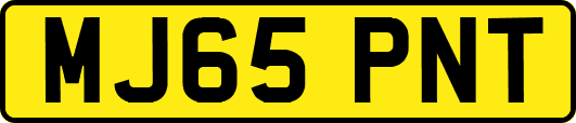 MJ65PNT
