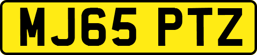 MJ65PTZ
