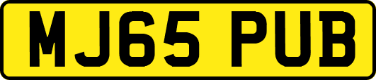 MJ65PUB