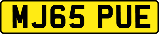 MJ65PUE