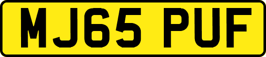 MJ65PUF